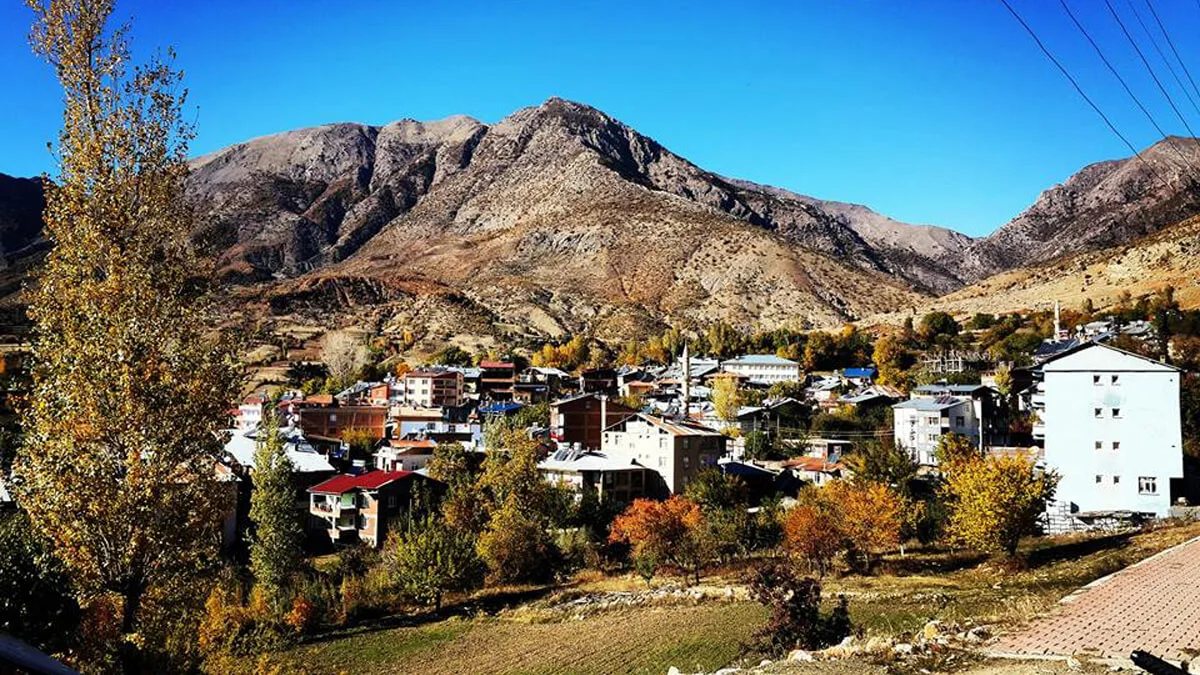 Arıcak Araç Kiralama Rent a Car